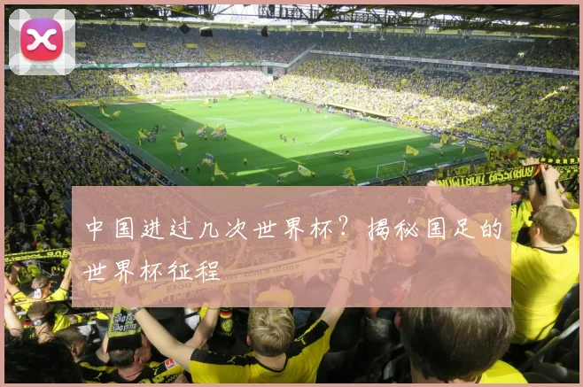 中国进过几次世界杯?揭秘国足的世界杯征程